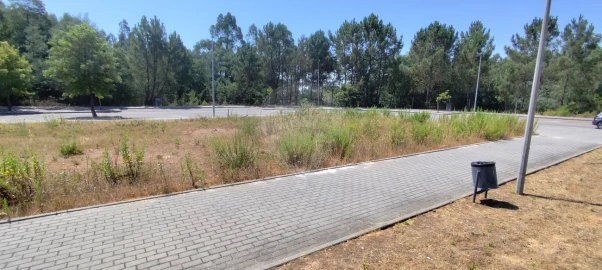 Terreno para Venda em Ferreira do Zezere
