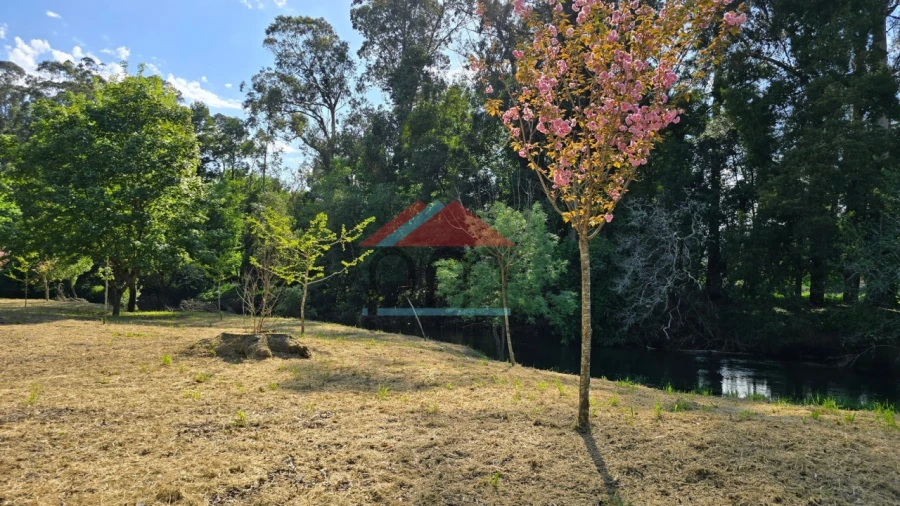 Moradia T3 para Venda em Vilar de Mouros Foto 30