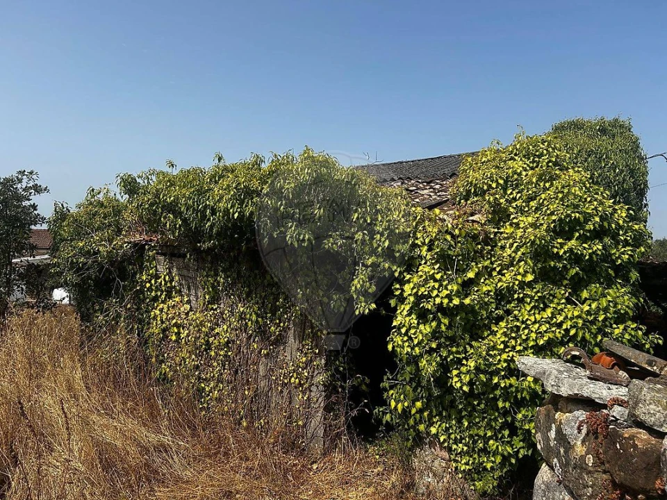 Moradia T1 para Venda em Cumeeira Foto 11