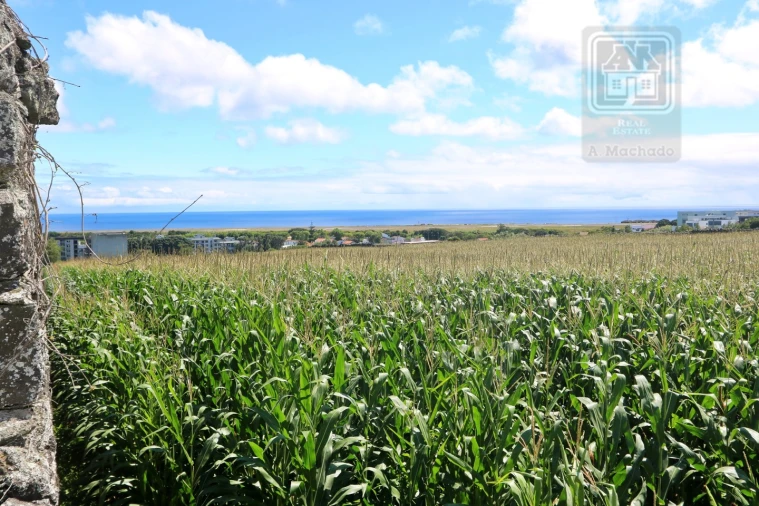 Terreno para Venda em Santa Clara