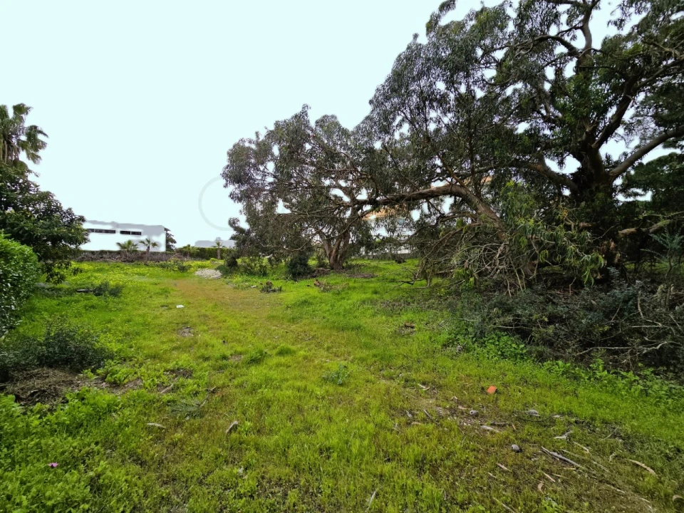 Terreno para Venda em Carvalhal Foto 7