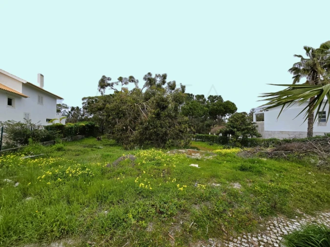 Terreno para Venda em Carvalhal Foto 5