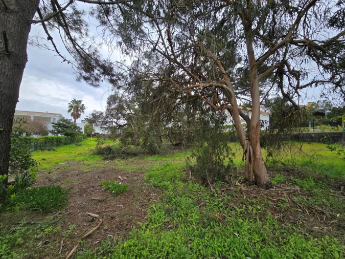 Terreno para Venda em Carvalhal Foto 6