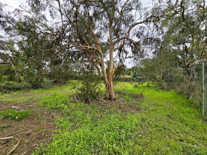 Terreno para Venda em Carvalhal Foto 9