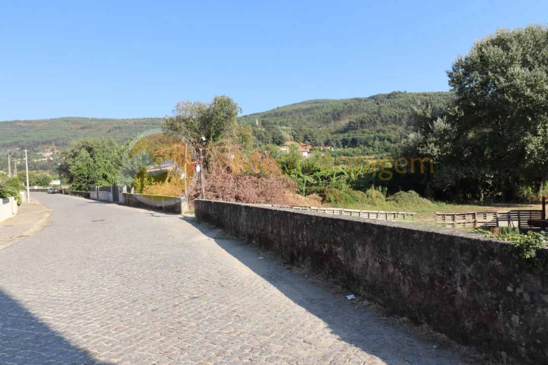 Terreno para Venda em Este (São Pedro e São Mamede) Foto 5
