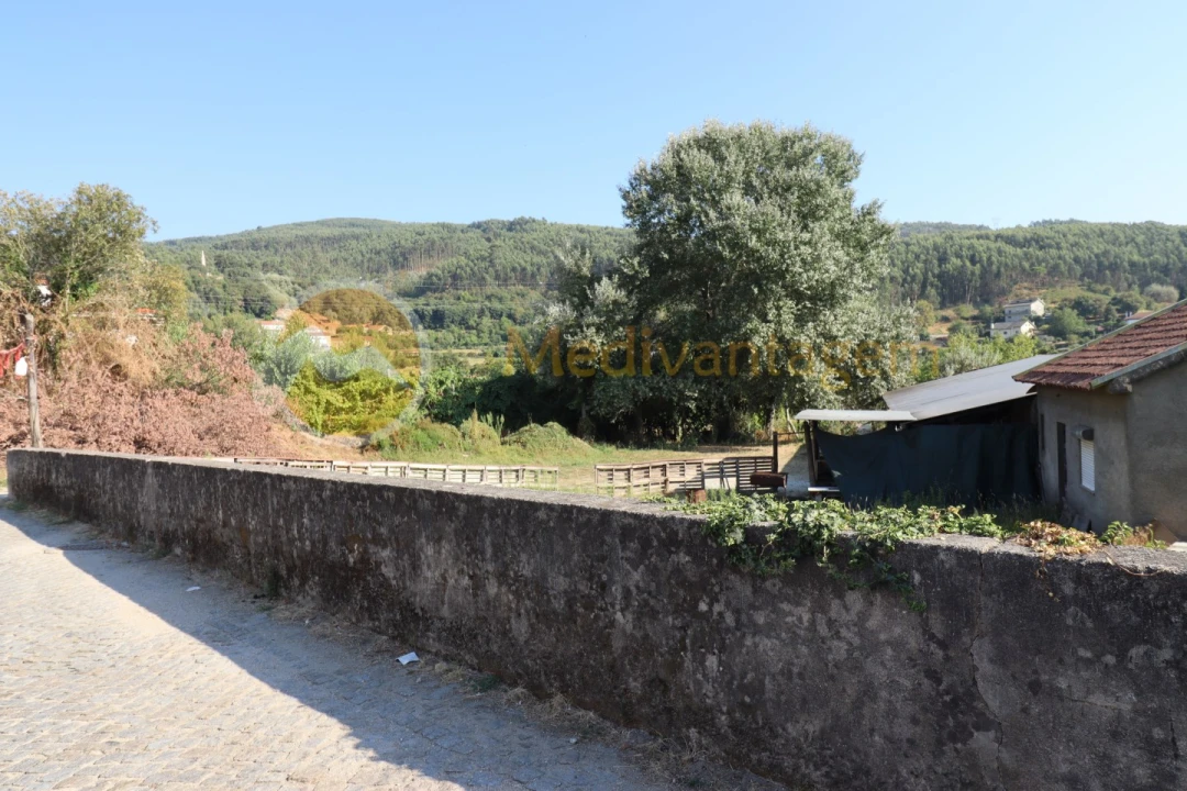 Terreno para Venda em Este (São Pedro e São Mamede) Foto 6