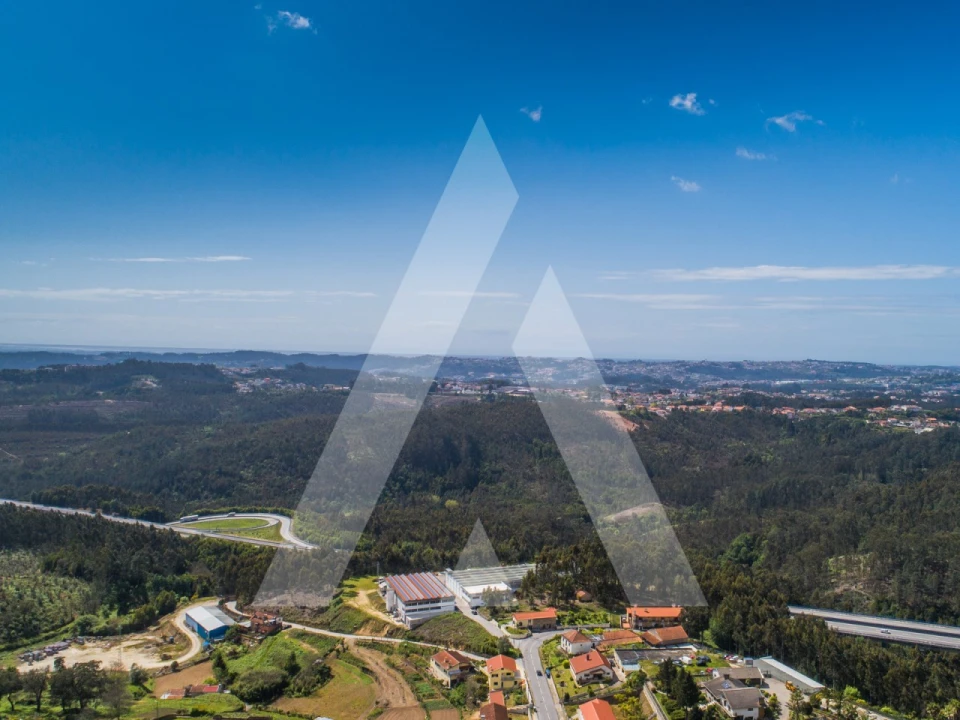 Terreno para Venda em Nogueira do Cravo e Pindelo Foto 13