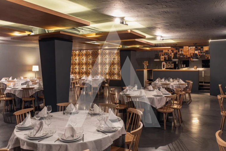 Negócio para Venda em Trofa, Segadães e Lamas do Vouga Foto 2