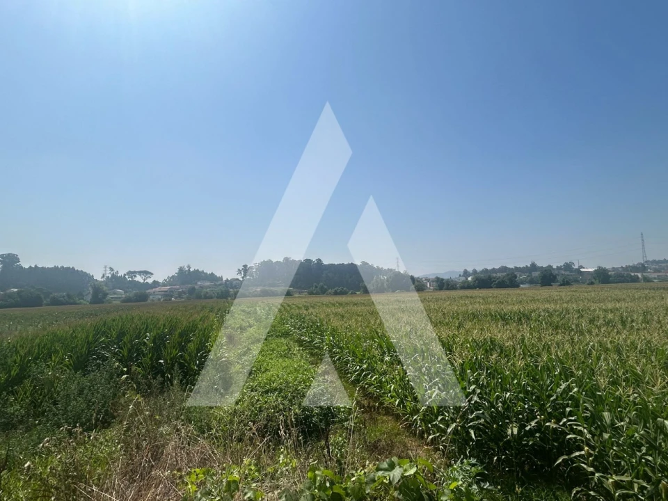 Terreno para Venda em Campo e Sobrado Foto 2