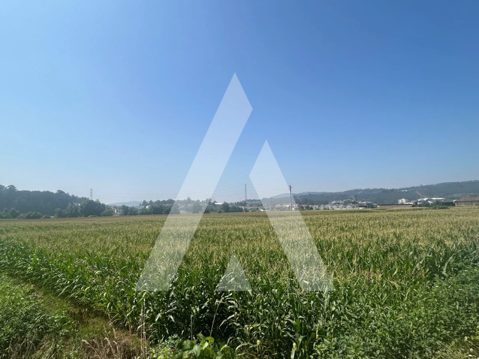 Terreno para Venda em Campo e Sobrado Foto 3