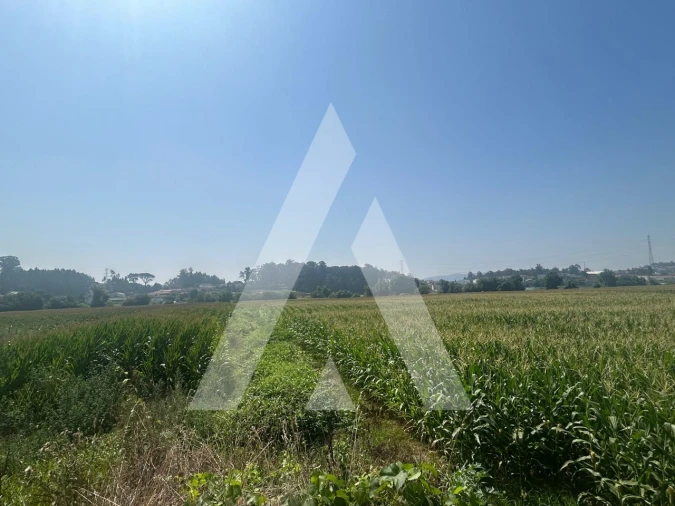 Terreno para Venda em Campo e Sobrado Foto 2