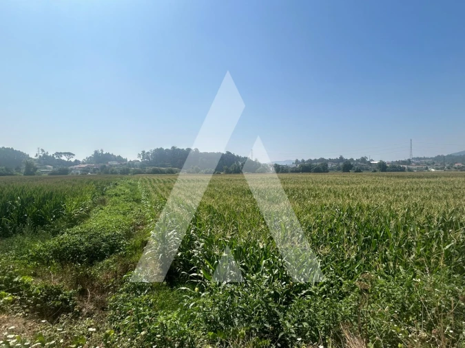 Terreno para Venda em Campo e Sobrado Foto 6