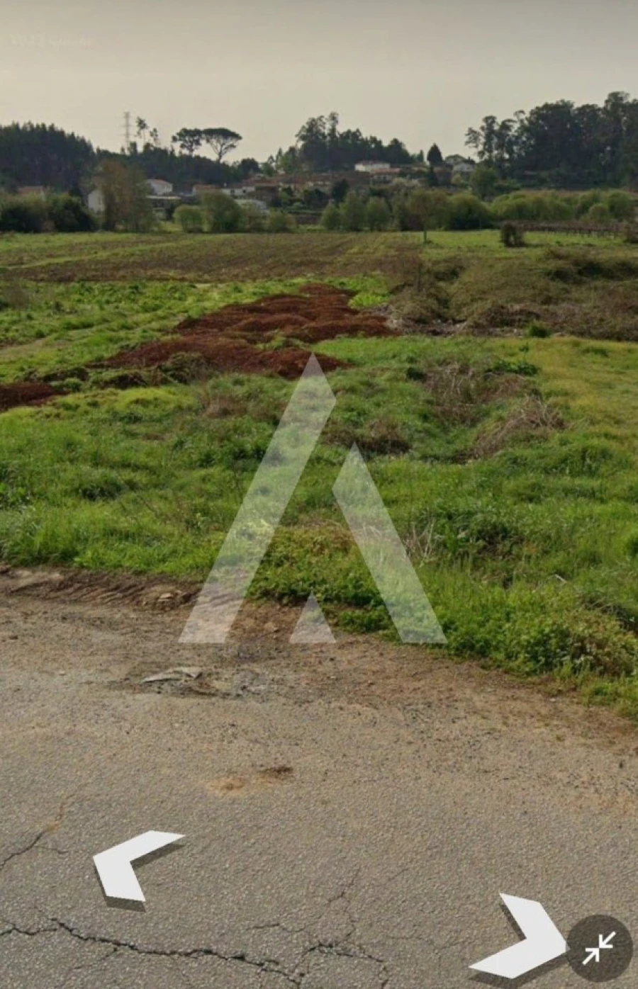 Terreno para Venda em Campo e Sobrado Foto 8