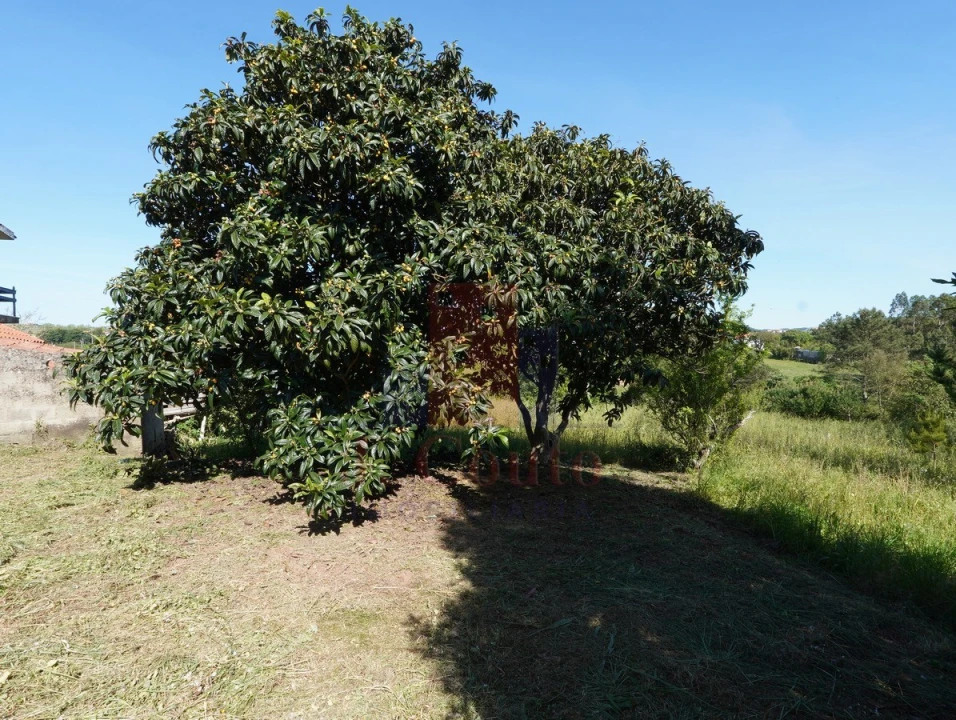 Moradia para Venda em A dos Negros Foto 11