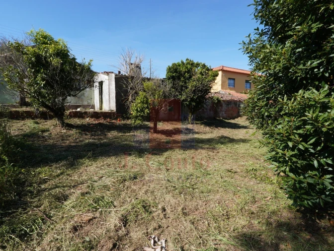 Moradia para Venda em A dos Negros Foto 12