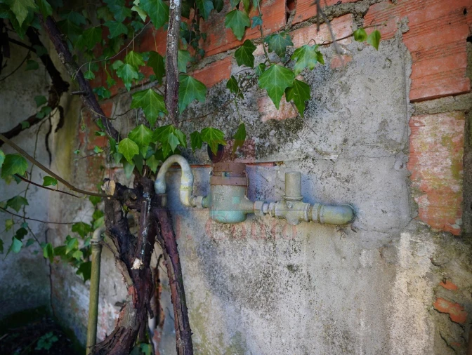 Moradia para Venda em A dos Negros Foto 27