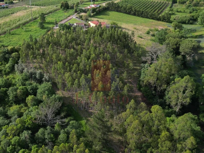 Moradia para Venda em A dos Negros Foto 33