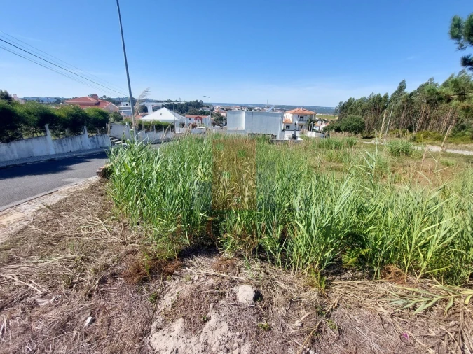Terreno para Venda em Gaeiras Foto 3