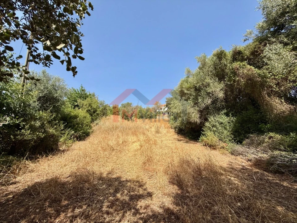 Terreno para Venda em São Brás de Alportel Foto 1