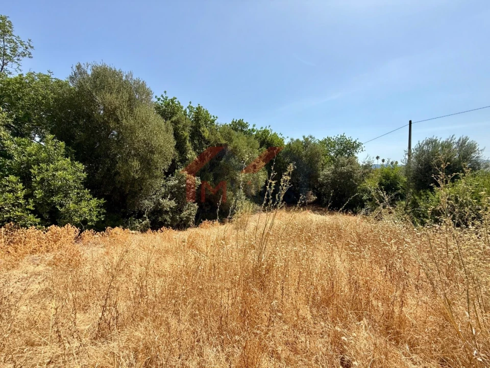 Terreno para Venda em São Brás de Alportel Foto 3