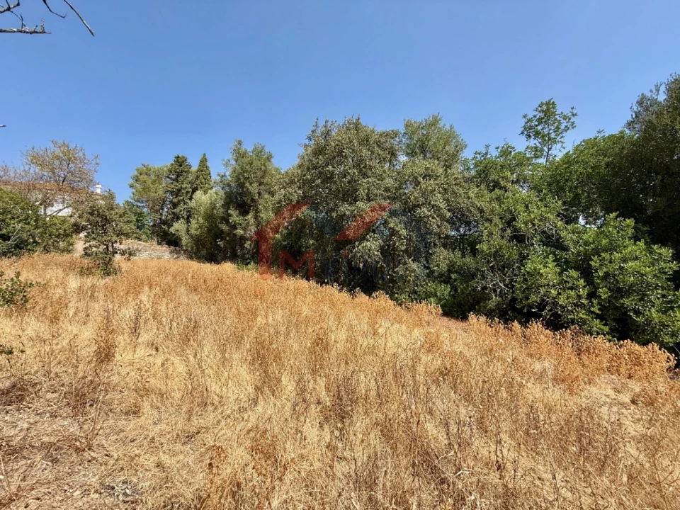 Terreno para Venda em São Brás de Alportel Foto 4
