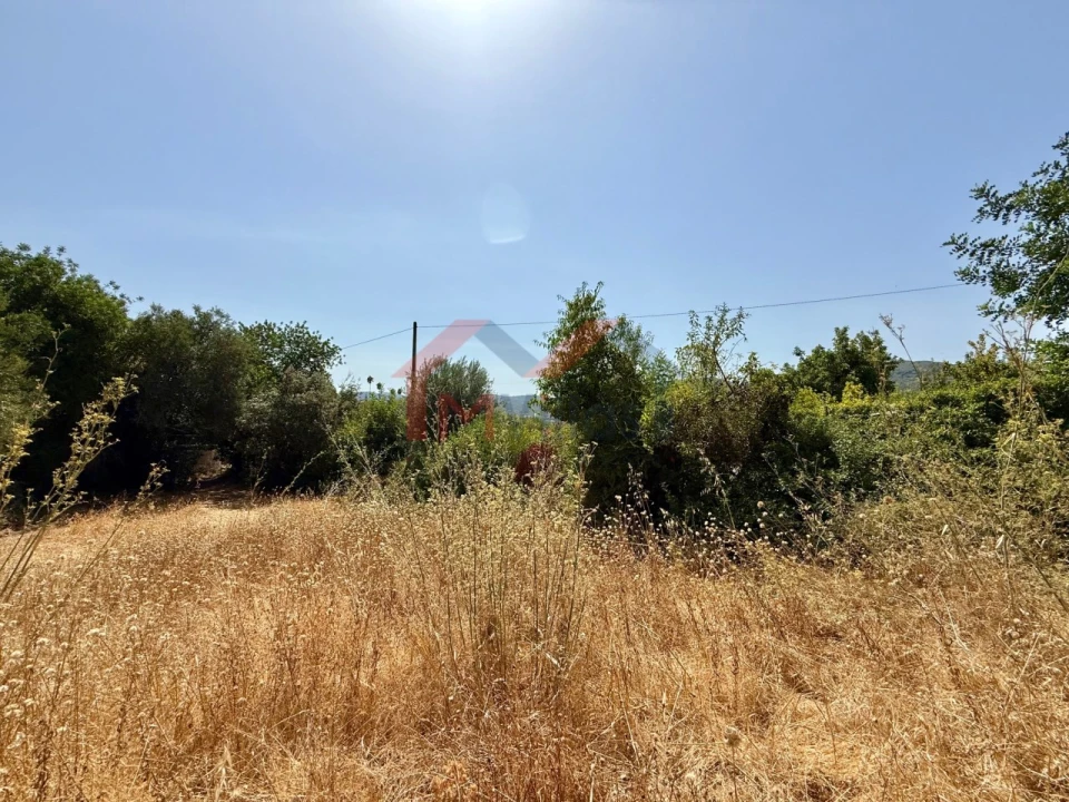 Terreno para Venda em São Brás de Alportel Foto 5