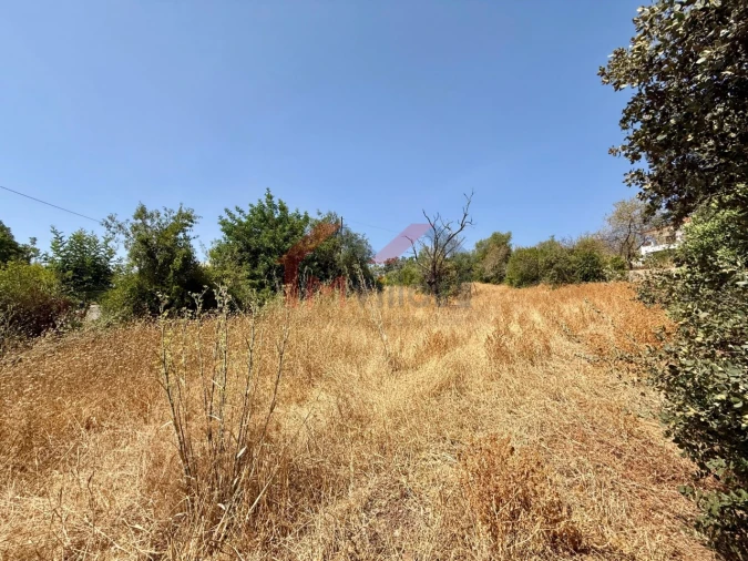 Terreno para Venda em São Brás de Alportel Foto 2