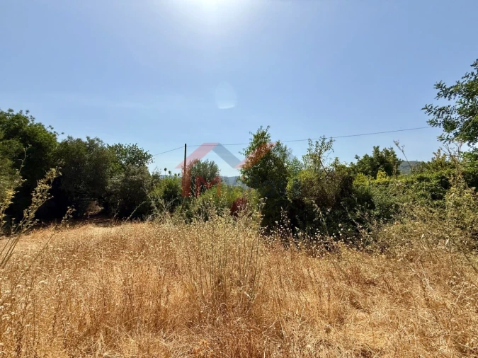Terreno para Venda em São Brás de Alportel Foto 5