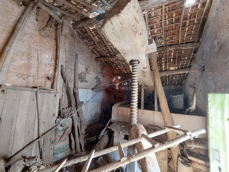 Negócio para Venda em A dos Francos Foto 8