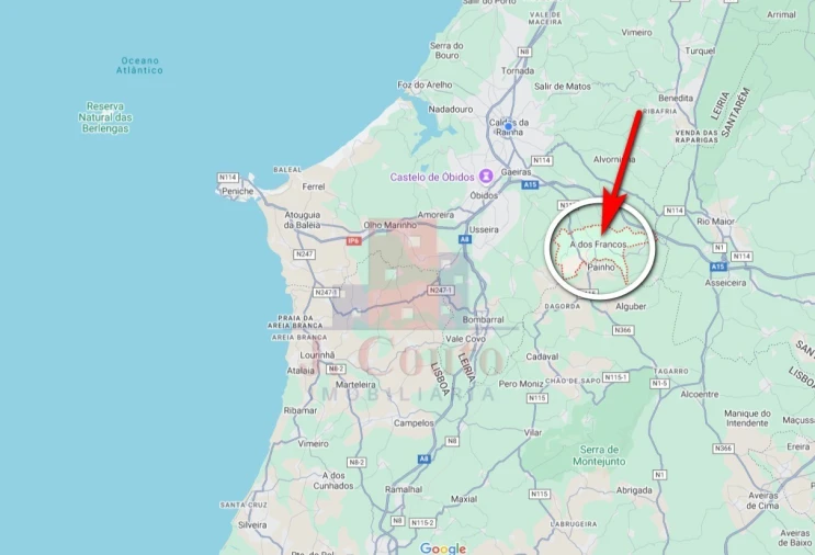 Negócio para Venda em A dos Francos Foto 13