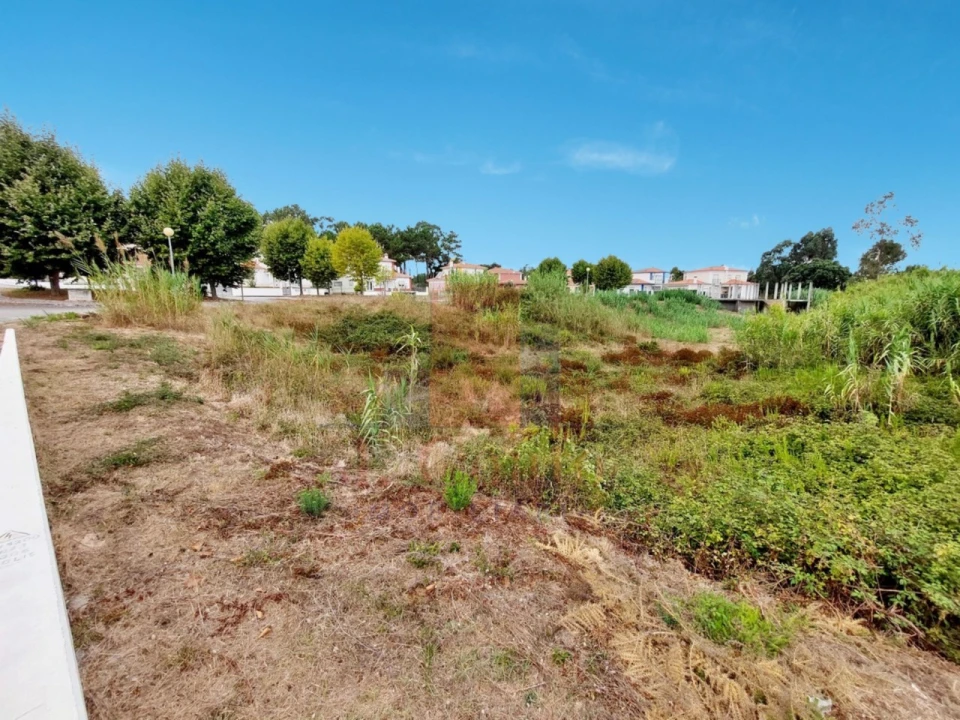 Terreno para Venda em Santa Maria, São Pedro e Sobral da Lagoa Foto 7