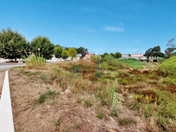 Terreno para Venda em Santa Maria, São Pedro e Sobral da Lagoa Foto 12