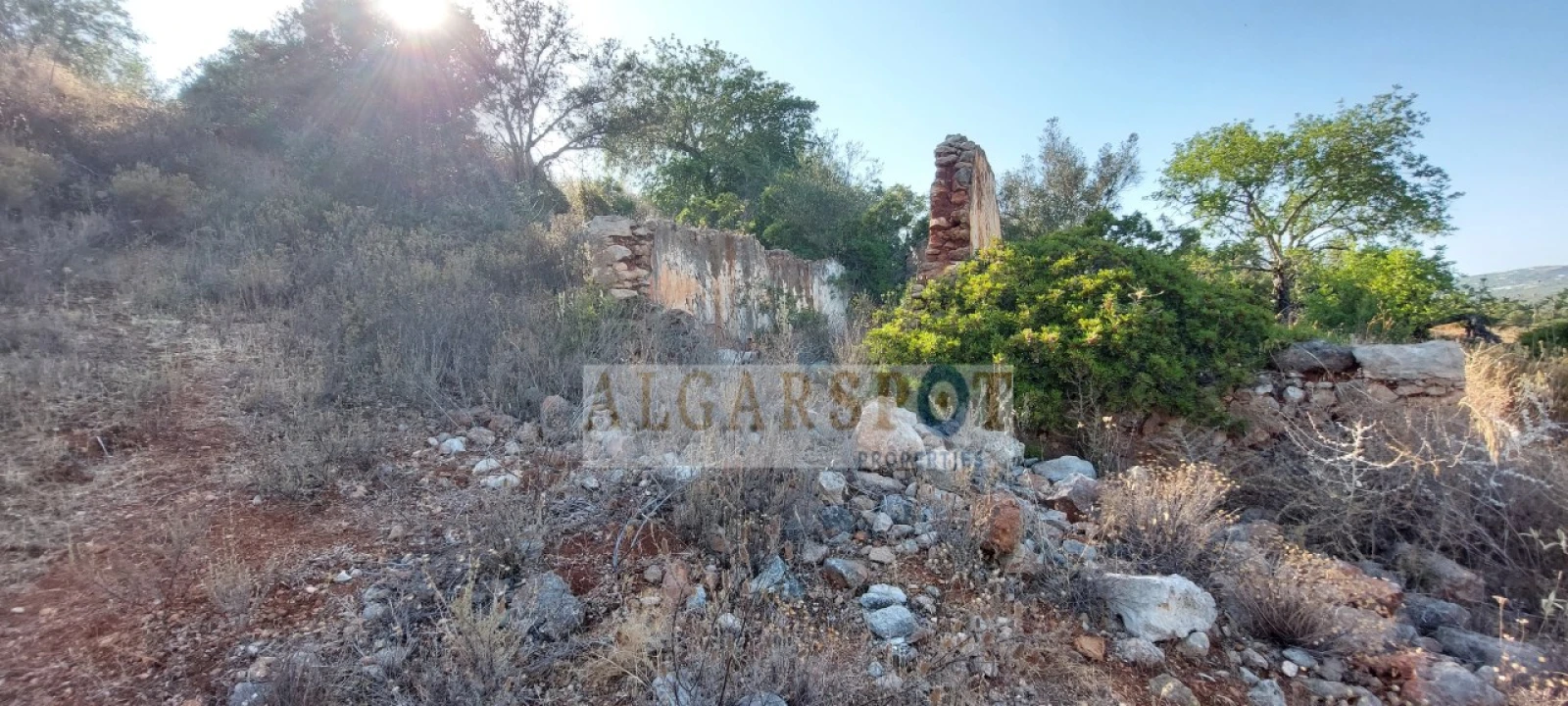 Terreno para Venda em Loule (São Sebastião) Foto 8