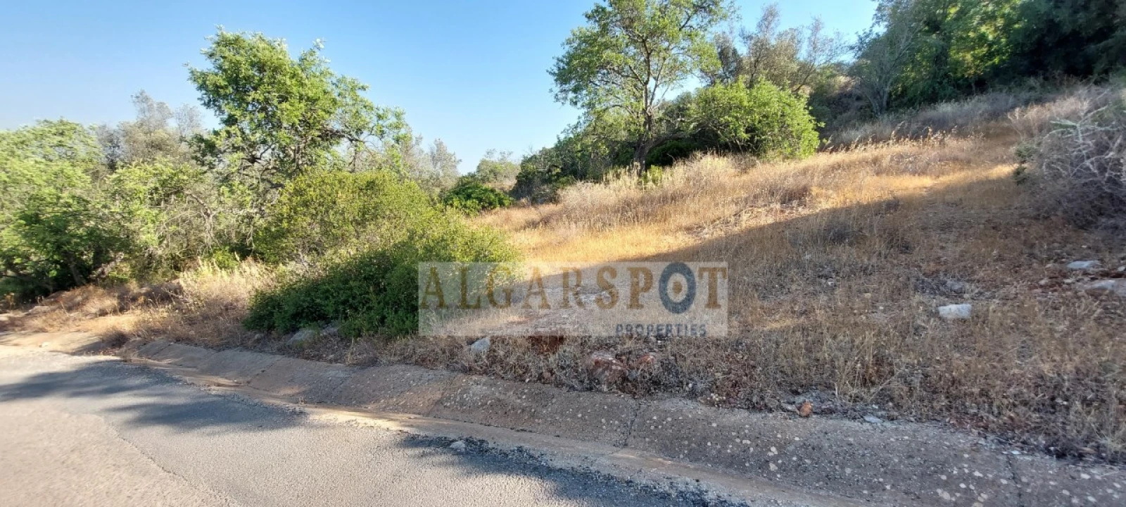 Terreno para Venda em Loule (São Sebastião) Foto 18