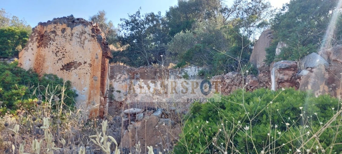 Terreno para Venda em Loule (São Sebastião) Foto 2