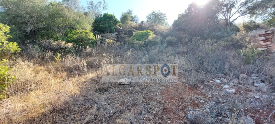 Terreno para Venda em Loule (São Sebastião) Foto 7
