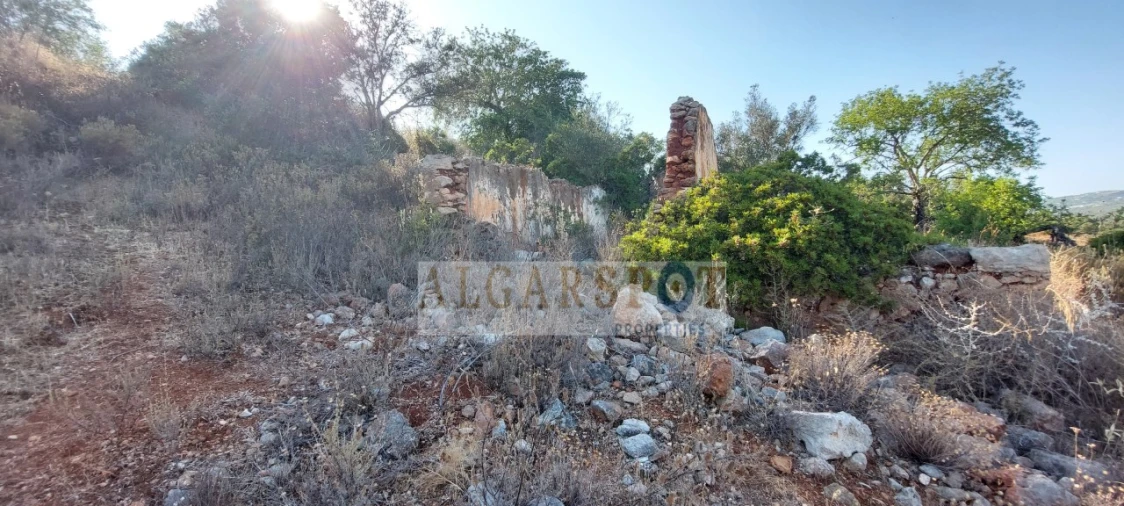 Terreno para Venda em Loule (São Sebastião) Foto 8
