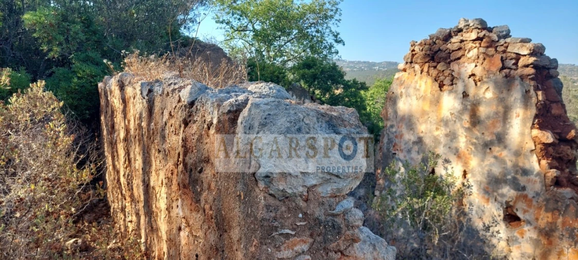 Terreno para Venda em Loule (São Sebastião) Foto 10