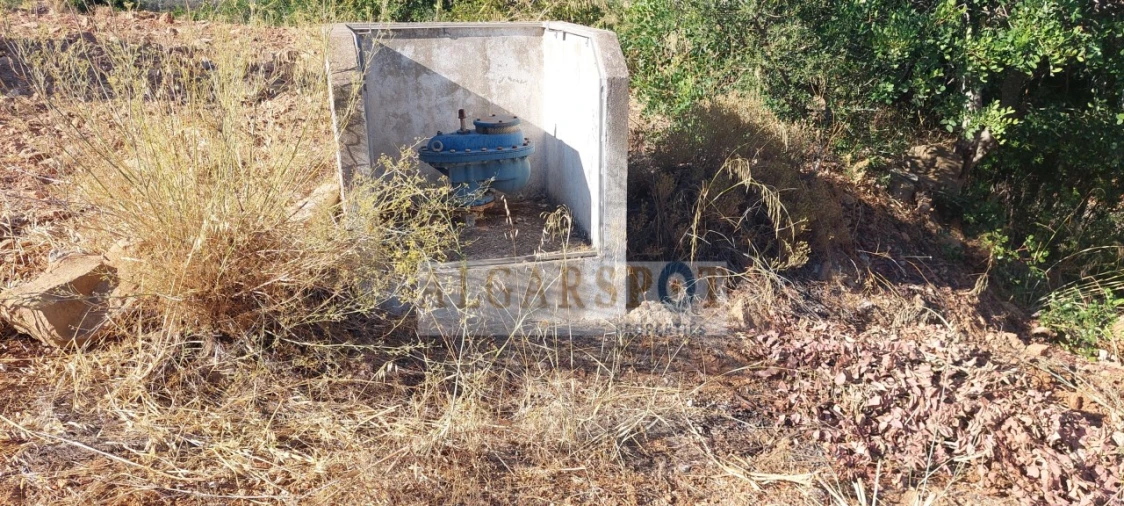 Terreno para Venda em Loule (São Sebastião) Foto 19