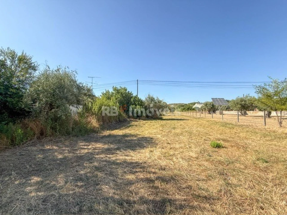 Terreno Agricola ou Rústico para Venda em Abrantes (São Vicente e São João) e Alferrarede Foto 10