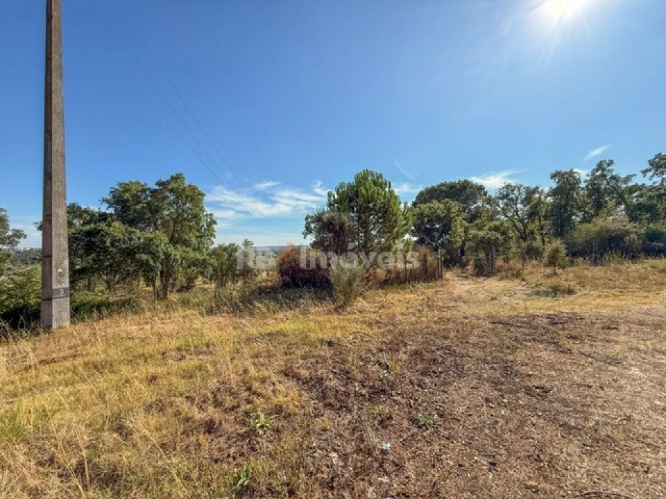 Terreno Agricola ou Rústico para Venda em Abrantes (São Vicente e São João) e Alferrarede Foto 14