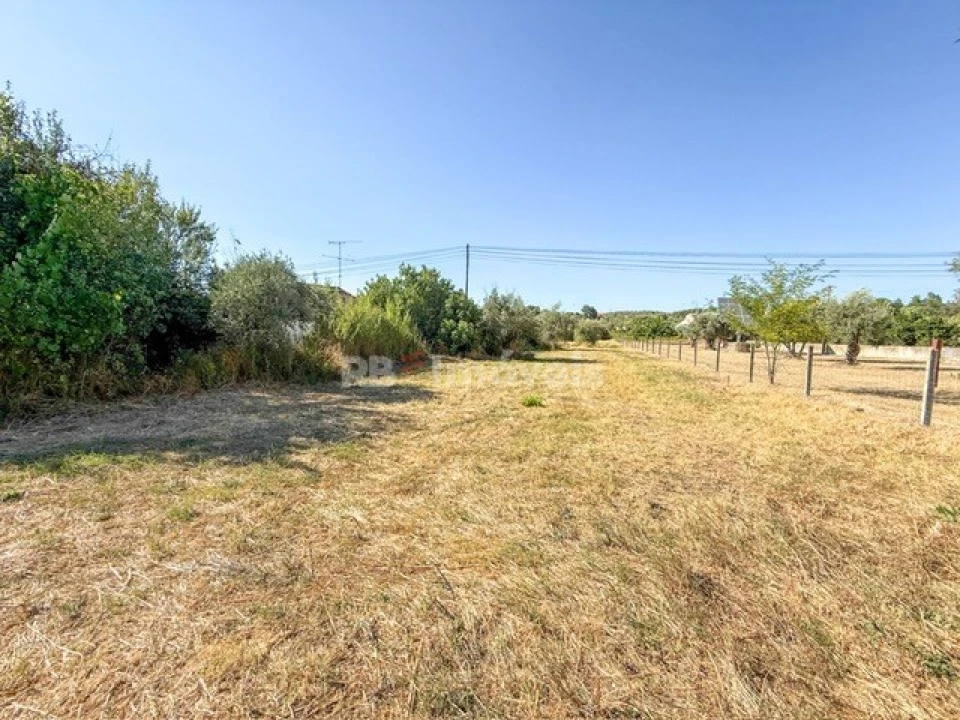 Terreno Agricola ou Rústico para Venda em Abrantes (São Vicente e São João) e Alferrarede Foto 5