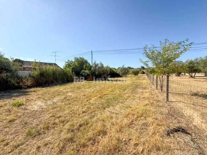 Terreno Agricola ou Rústico para Venda em Abrantes (São Vicente e São João) e Alferrarede Foto 7