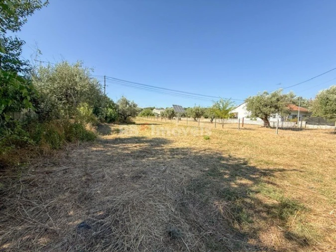 Terreno Agricola ou Rústico para Venda em Abrantes (São Vicente e São João) e Alferrarede Foto 3
