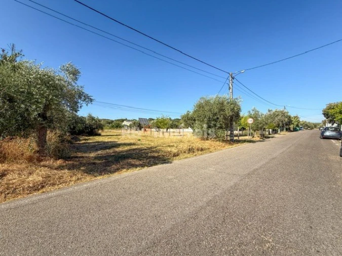 Terreno Agricola ou Rústico para Venda em Abrantes (São Vicente e São João) e Alferrarede Foto 12