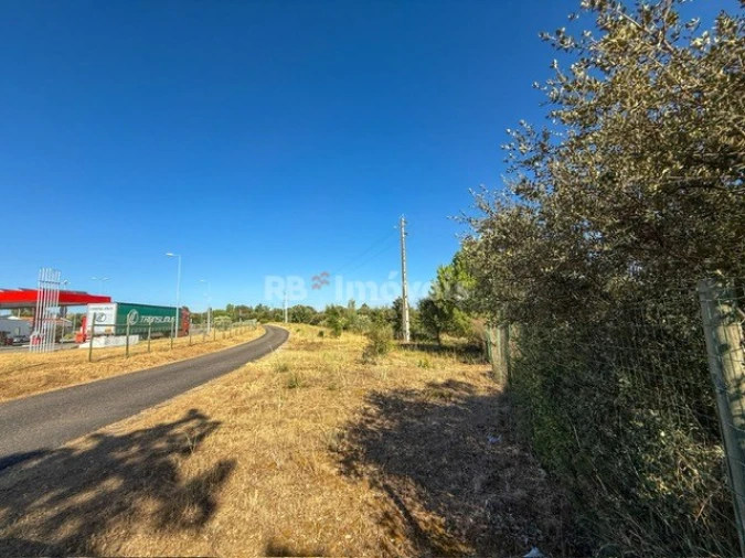 Terreno Agricola ou Rústico para Venda em Abrantes (São Vicente e São João) e Alferrarede Foto 11