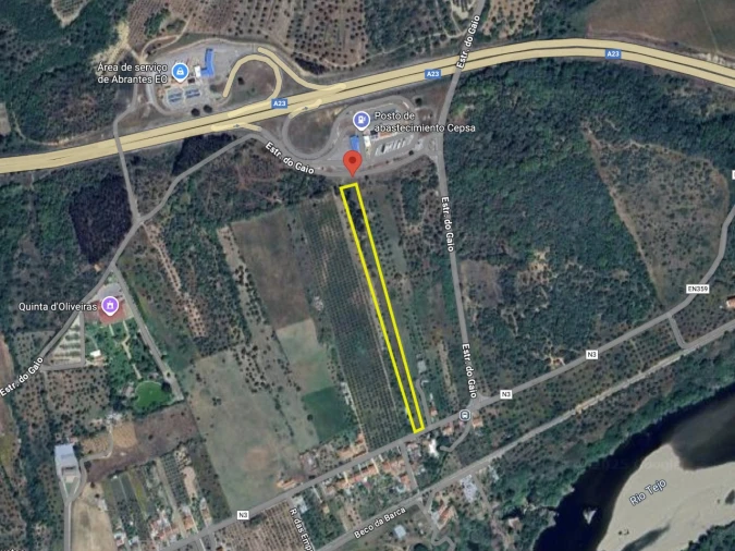 Terreno Agricola ou Rústico para Venda em Abrantes (São Vicente e São João) e Alferrarede Planta 1