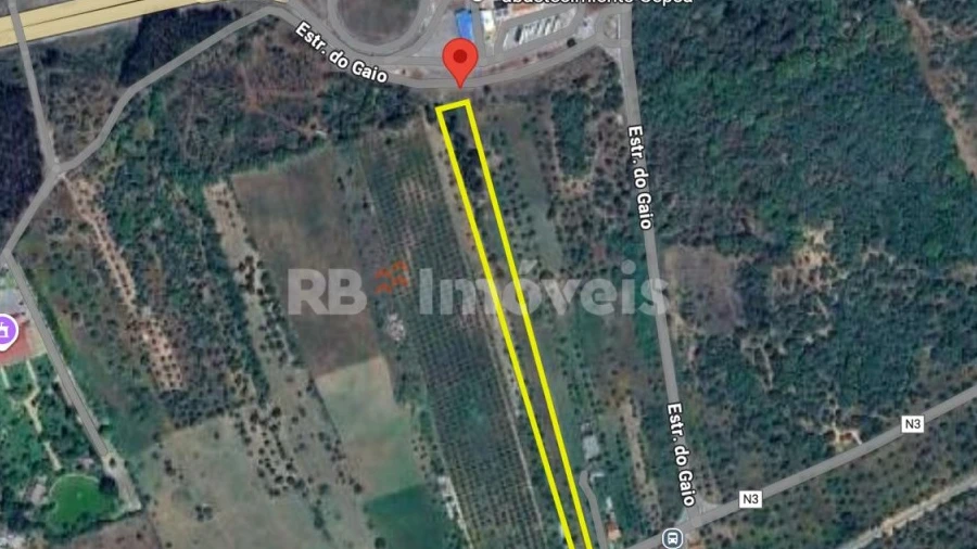 Terreno Agricola ou Rústico para Venda em Abrantes (São Vicente e São João) e Alferrarede