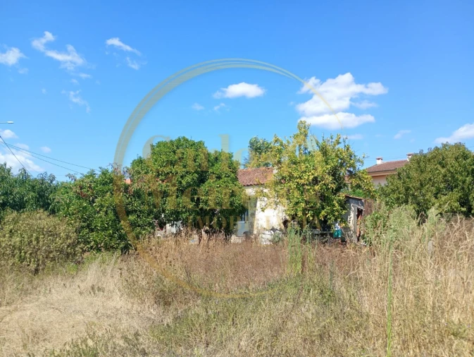 Moradia T2 para Venda em Lago Foto 16