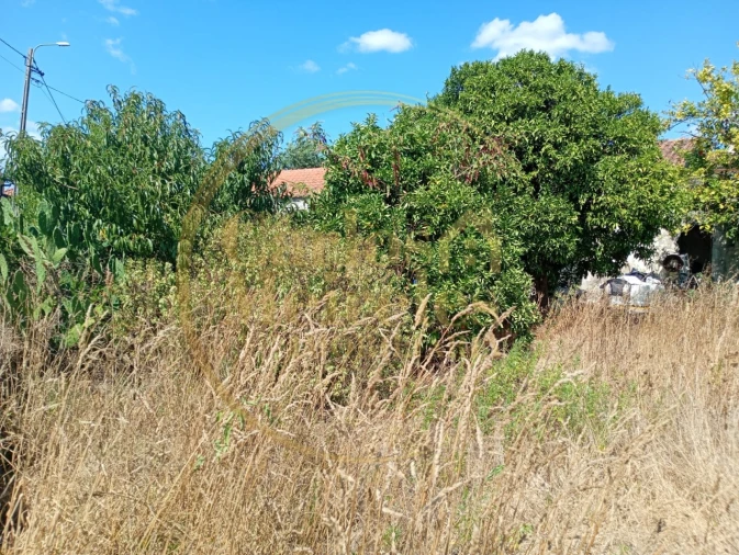 Moradia T2 para Venda em Lago Foto 18